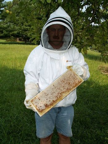 David Shahan in a bee suit holding honeycomb.